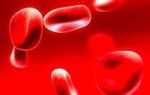 Нейтрофилы в крови: функции, что это такое, обозначение в анализе, норма