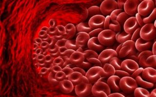 Эритроциты понижены в крови: что это значит?