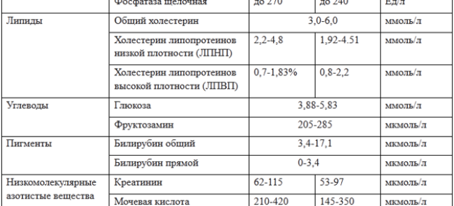 Норма биохимического анализа крови у взрослых: таблица, показатели