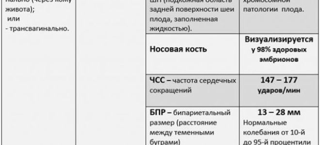 Первый скрининг узи: нормы, на каком сроке делают?