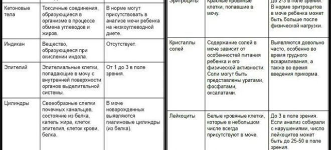 Как правильно собирать анализ мочи у новорожденных и взрослых?