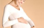 Узи беременности на ранних сроках: вредно ли, как делают?