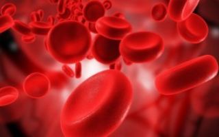 Показатели лимфолейкоза в анализе крови: каковы нормы?