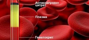 Гематокрит: что это такое в анализе крови, норма