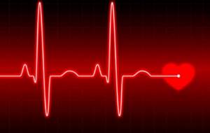 УЗИ плода: вредно ли, когда слышно сердцебиение?