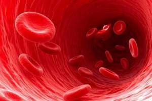 Норма эритроцитов в крови у мужчин по возрасту (таблица)