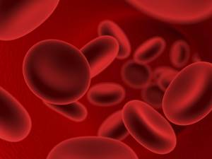Расшифровка lym в анализе крови: нормы, что на нем видно?