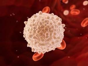 Лимфоциты понижены в крови: что это значит и в чем причины?