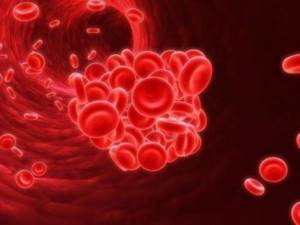 Как обозначается гемоглобин в анализе крови?