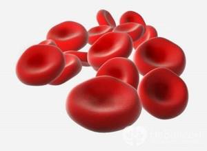 mcv в анализе крови: расшифровка, нормы, что это такое?