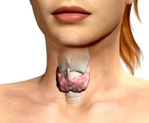 Расшифровка результатов УЗИ щитовидной железы