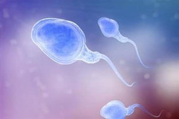 Что показывает спермограмма: расшифровка анализа, показатели
