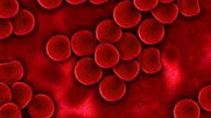 Витамины для повышения гемоглобина в крови – какие назначают?