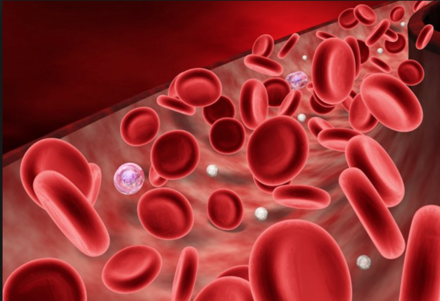 Норма свертываемости крови у женщин, детей, мужчин и отклонения от нее