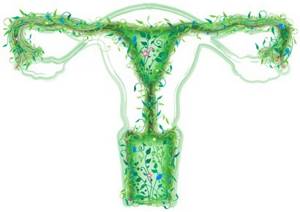 Эритроциты в мазке на флору у женщин: норма, причины повышения