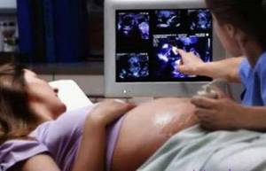 Второе УЗИ при беременности – на каком сроке делают и что смотрят?