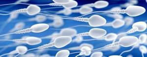 Как улучшить спермограмму: эффективные методы и средства