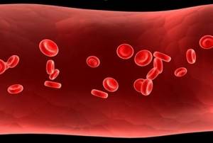 Средняя концентрация гемоглобина в эритроците: что это значит, норма