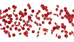 Как повысить белок в крови?