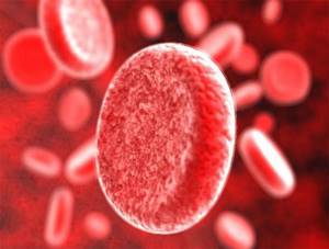 Повышенный белок в крови - что это значит?