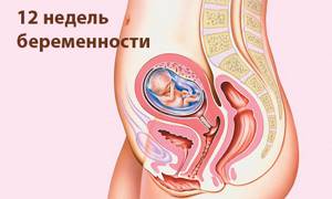 Что такое КТР на УЗИ при беременности?