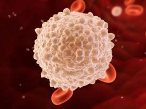 Лейкоциты в крови повышены: что это значит, причины, что делать?