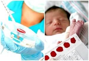 генетический скрининг новорожденных: [что нужно знать]