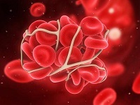Эритроциты в крови повышены у женщин: причины, лечение