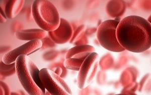 Что такое моноциты в анализе крови и что делать, если они повышены?Что такое моноциты в анализе крови и что делать, если они повышены?