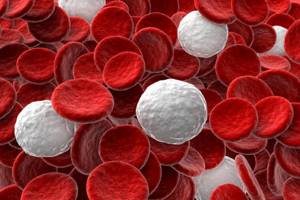 Лейкоцитарная формула крови: расшифровка у взрослых, норма и показатели