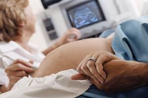 На каких сроках делают УЗИ при беременности?