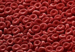 Эритроциты в крови повышены: что это значит, причины