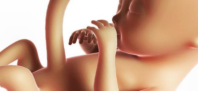 УЗИ на 18 неделе беременности: фото, особенности