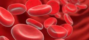 Норма гемоглобина в крови у взрослого и причины отклонения