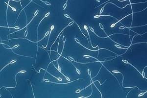 Препараты для улучшения спермограммы: обзор витаминов и лекарств