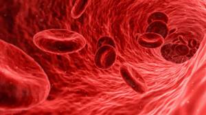 Повышены эритроциты в крови у ребенка: каковы причины и что делать?