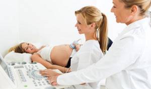 УЗИ почек при беременности – можно ли делать?