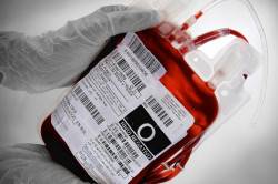 Витамины для повышения гемоглобина в крови – какие назначают?