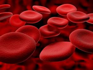 Норма лимфоцитов у мужчин в крови: какой должна быть?