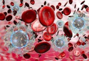 Анализ крови на ВИЧ: показатели, сроки готовности, расшифровка