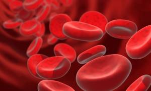 Объективные причины отклонения от нормы лейкоцитов в крови у мужчин