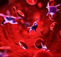 Тромбоциты понижены в крови: что это значит, причины и последствия