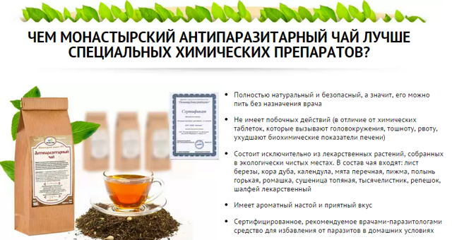 Монастырский антипаразитарный чай: где купить, цены, состав