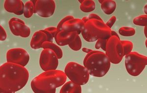 Норма эритроцитов в крови – сколько должно быть?