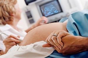 УЗИ на 31 неделе беременности: нормы, показатели, фото