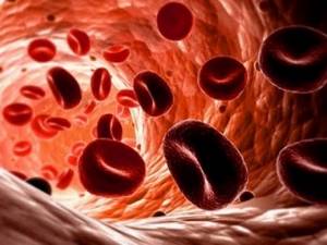 Эритроциты в крови повышены у женщин: причины, лечение