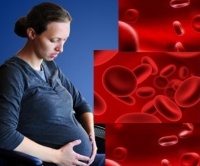 Норма гемоглобина у беременных в крови по триместрам