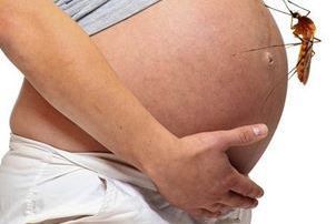 Фибриноген при беременности: норма по триместрам, причины повышения и понижения