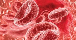 Продукты, повышающие гемоглобин в крови: что нужно есть (таблица)?