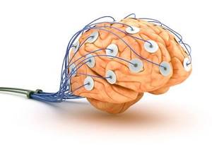 Что показывает ЭЭГ при обследовании головного мозга у взрослых